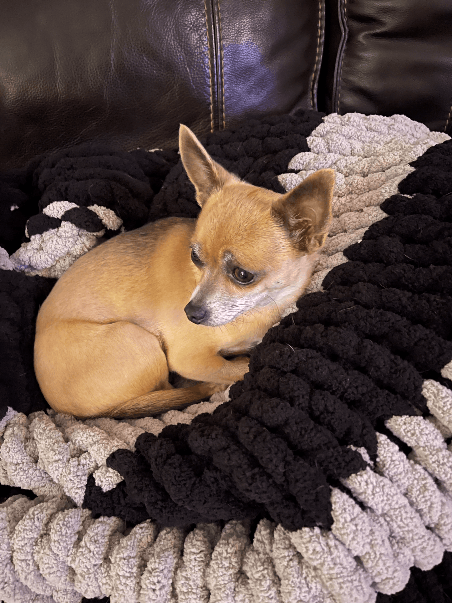 Cuddle Furbaby Cozy Throw - Best Cozy Throws