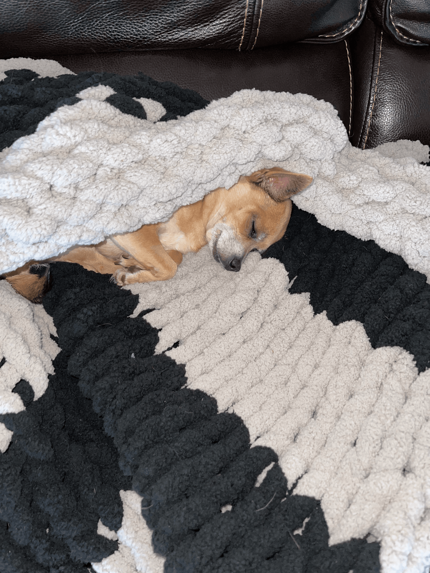 Cuddle Furbaby Cozy Throw - Best Cozy Throws